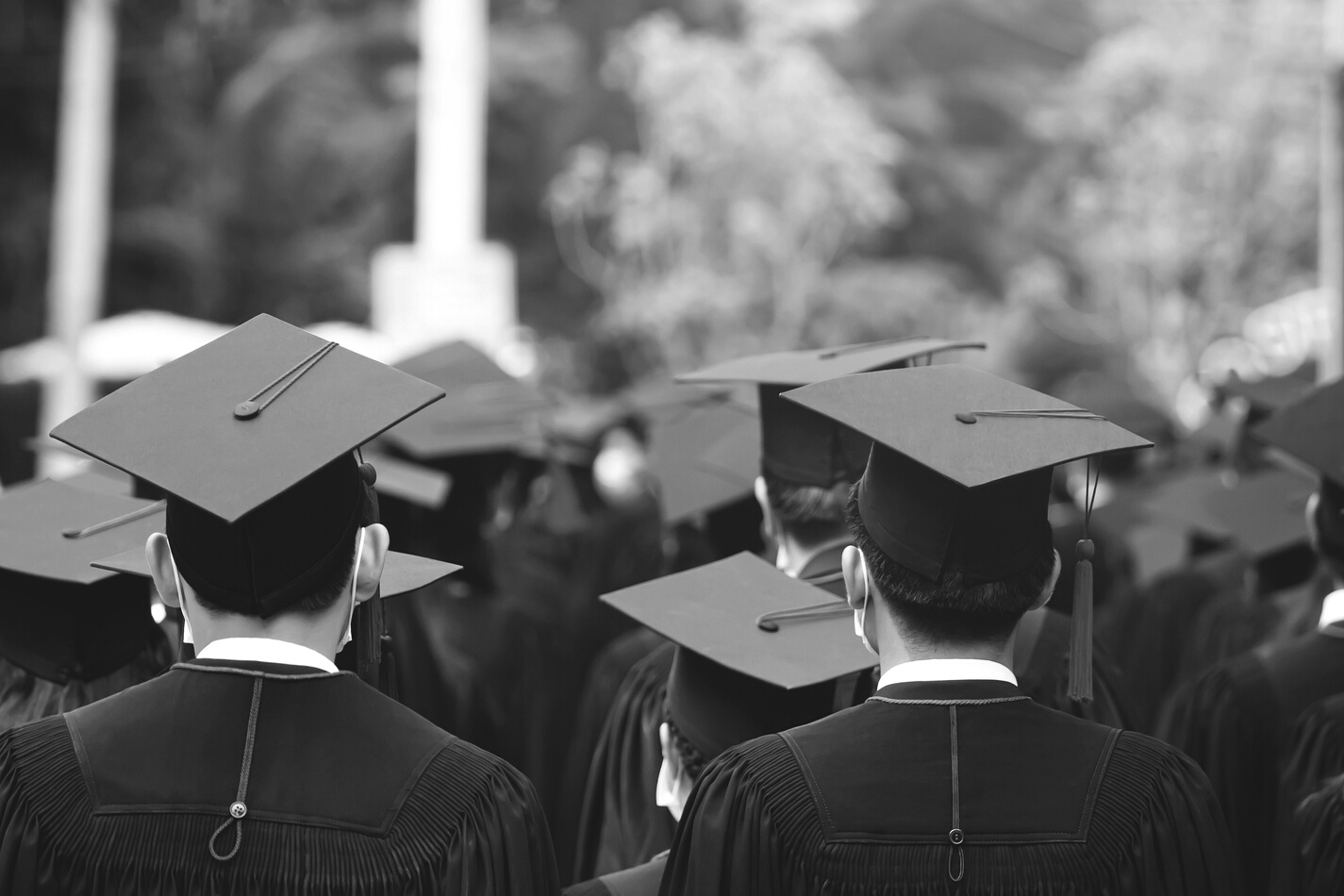 Crowd of Graduates 